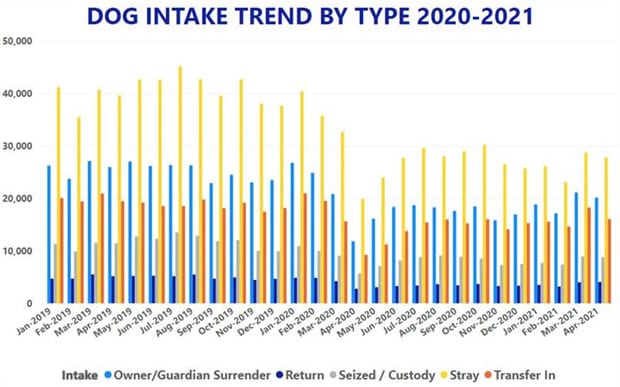 A bar graph showing the dog intake trends by type for 2020-2021.